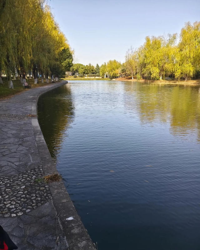 大学女生校内溺亡，同学通过手机定位发现“她在水里	”；家属：夜间参加游戏时出事	，校方提供监控只看到“水的波纹在动”