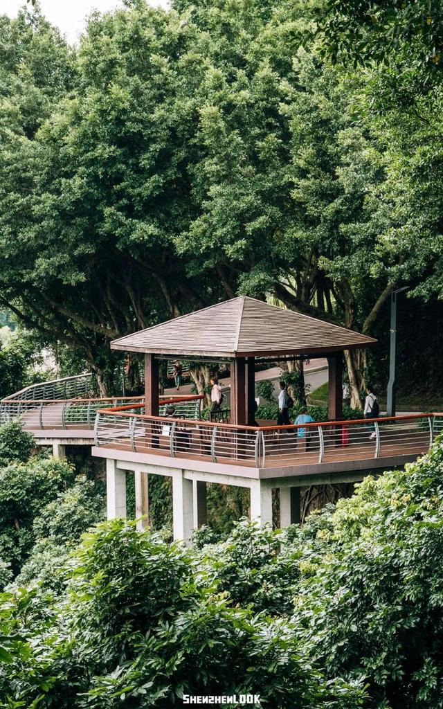 “看牛看海看夜景，深圳骑行路线精选”