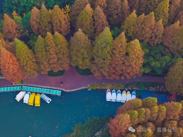 一分钟！我要知道日照这里的所有信息→