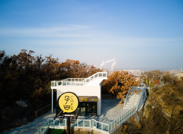 连云港的春天，正在被花与鲜重新定义