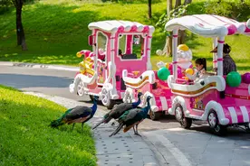 国庆黄金周，东莞这些地方“包好玩的”图片