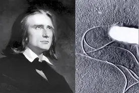 冰箱不是“保险箱” 4类细菌易在冰箱里生长图片