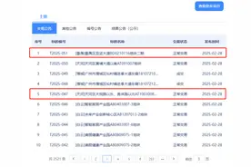 世界大观四期宅地楼面地价4.7万+/㎡！仍是央国企拿地图片