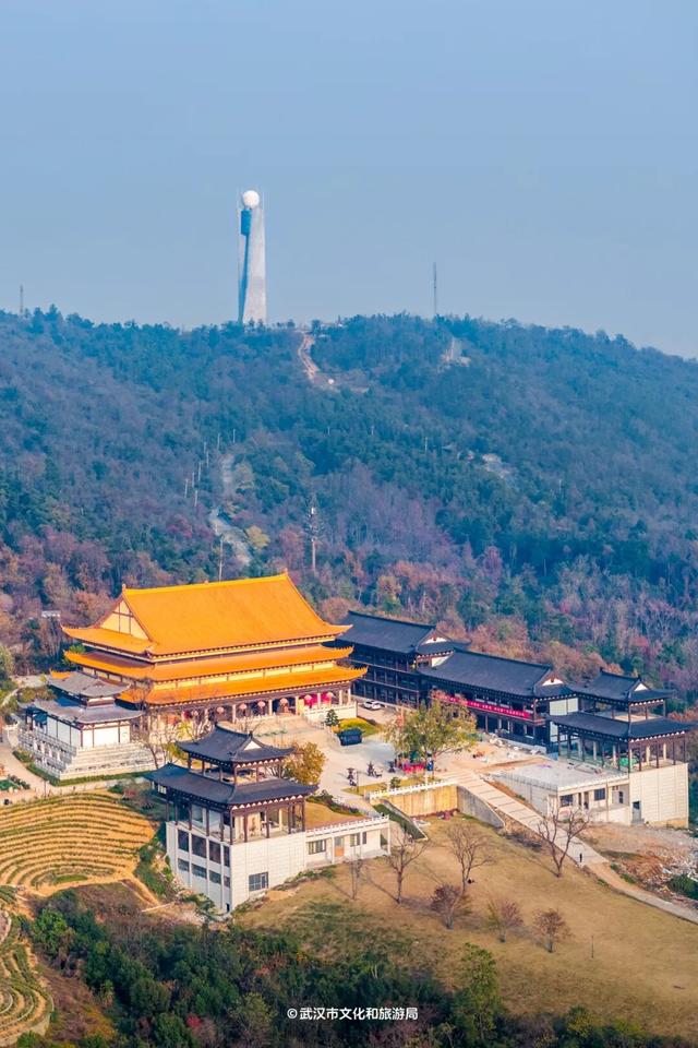 抢先看！武汉最神秘的塔，定期开放！