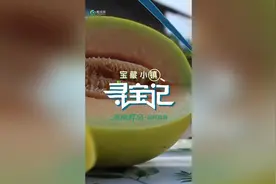 宝藏小镇·寻宝记｜乐东佛罗镇：蜜瓜种出“甜蜜产业”图片