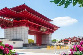 情定牡丹花海！齐鲁晚报菏泽第十四届公益相亲大会报名火热开启图片