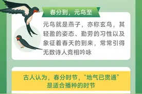 （图表）节令之美｜3月20日17时1分春分：春色正中分，人间恰良辰图片