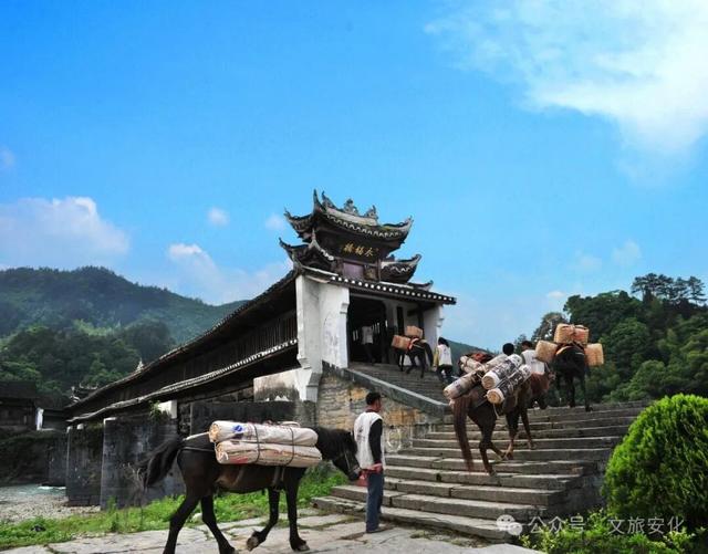 致益阳：山河执笔 绿茵场上竞风流