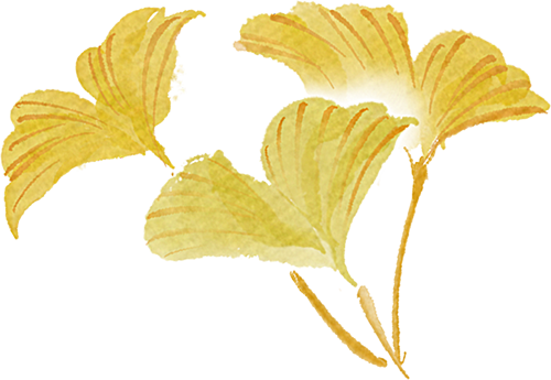 北京的秋日浓度已达90！这次把浪漫铺到了眼前 | 秋日长椅三分钟