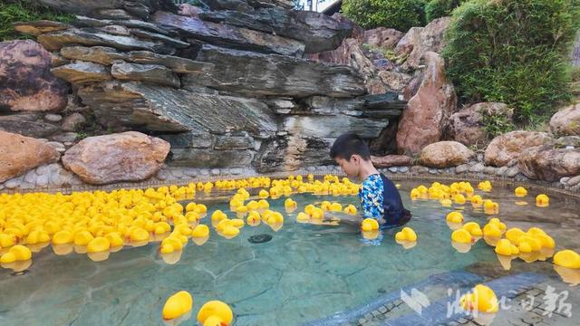 崇阳浪口温泉：消暑有“凉”方 亲水游玩热