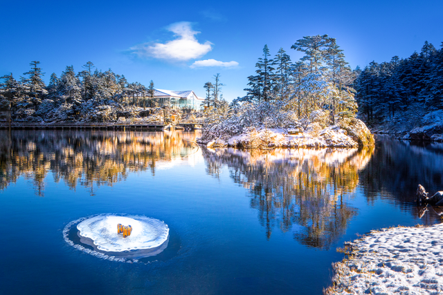 【冬季暖阳 凉山不凉】2026年的第一个旅游目的地，尽管来这！