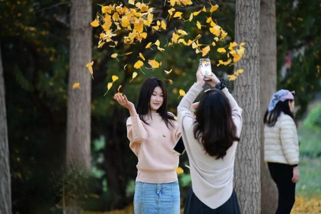 美翻了！邢台达活泉初冬限定“色彩盛宴”