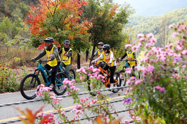 北京“北极乡”彩叶变色率达60%，百余名骑手穿行怀柔红叶林海