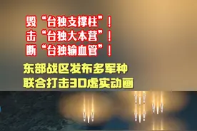 击“台独大本营” 多军种联合打击3D虚实动画发布图片