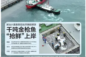 头版头条：千吨金枪鱼“抢鲜”上岸！深汕小漠港首迎远洋渔船图片