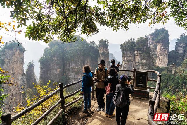 【每日一图@湖南】秋冬自驾必冲！张家界黄石寨暖阳峰林美到出圈
