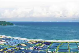 蓝色粮仓奏响“海洋牧歌”图片