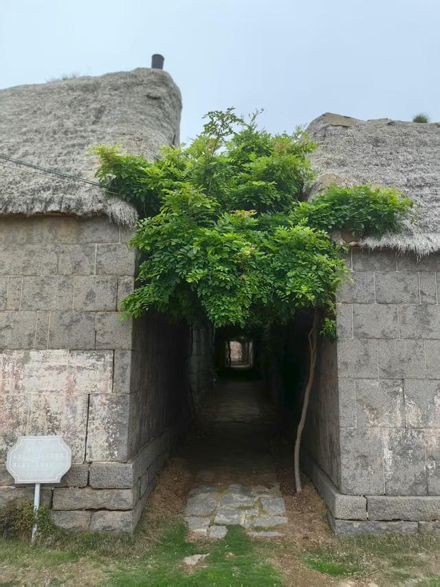 荣成拾零 | 语闻·在路上