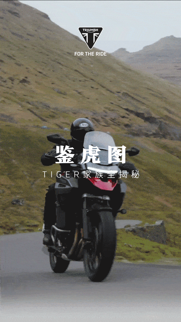 「鉴虎图」Tiger家族全揭秘图片