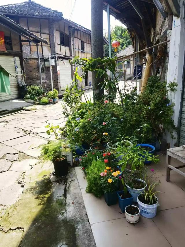 穿越龙泉山，发现一个「活的」老场镇