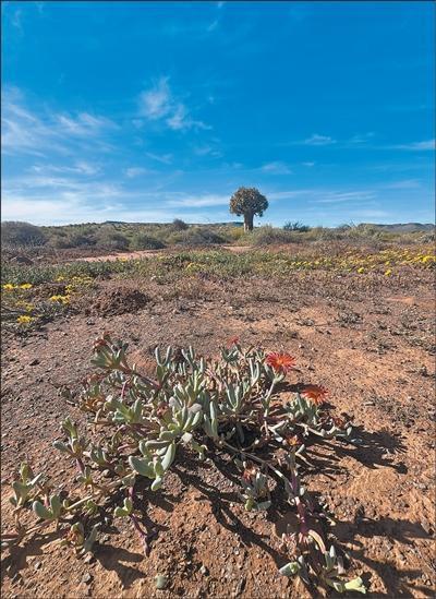 挖掘特色资源  发展小众旅游（国际视点）