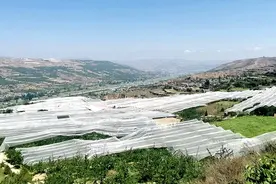 武山县洛门镇：金秋苹果喜丰收 果农收获“好钱景”图片