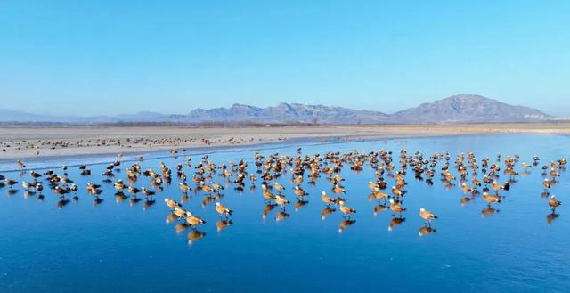 北京冬日限定“奇观”！就到月底！快冲→