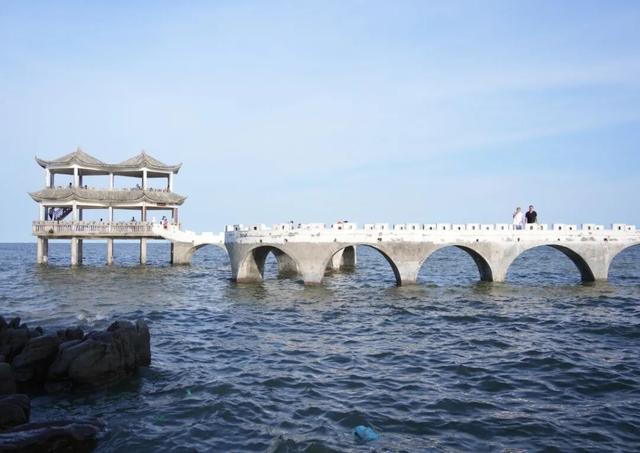 就在防城港！不容错过的踏浪观潮、观赏参天古树一个好去处
