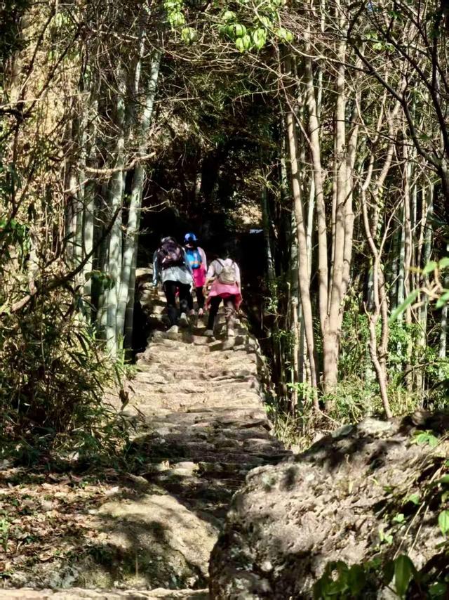 Hi走奉化⑧｜闯进冬日山野，邂逅三折冰瀑限定奇观