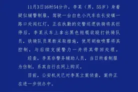 东莞一男子持棍欲殴打交警 官方：立案侦查图片