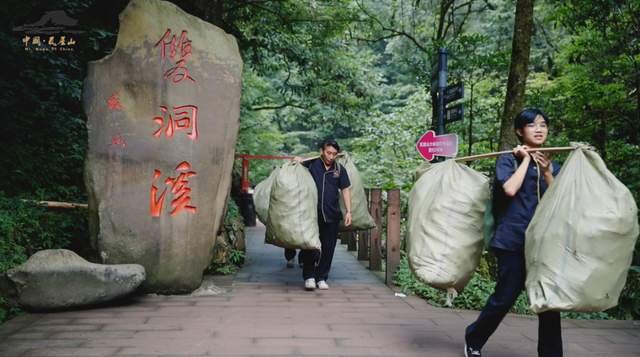 晨光与星光下的坚守，致敬“瓦屋美容师”！