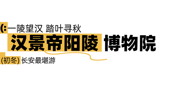 美绝！西安初冬的含金量还在上升！