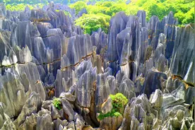 ＠高考学子：畅游云南石林三大景区​，免费！图片