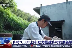 “CEO”竞争上岗 浙江这些乡村成为“流量担当”图片