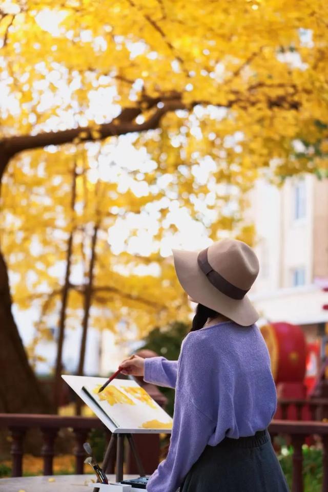 金山这些地方“含金量”满满，再不去等明年…