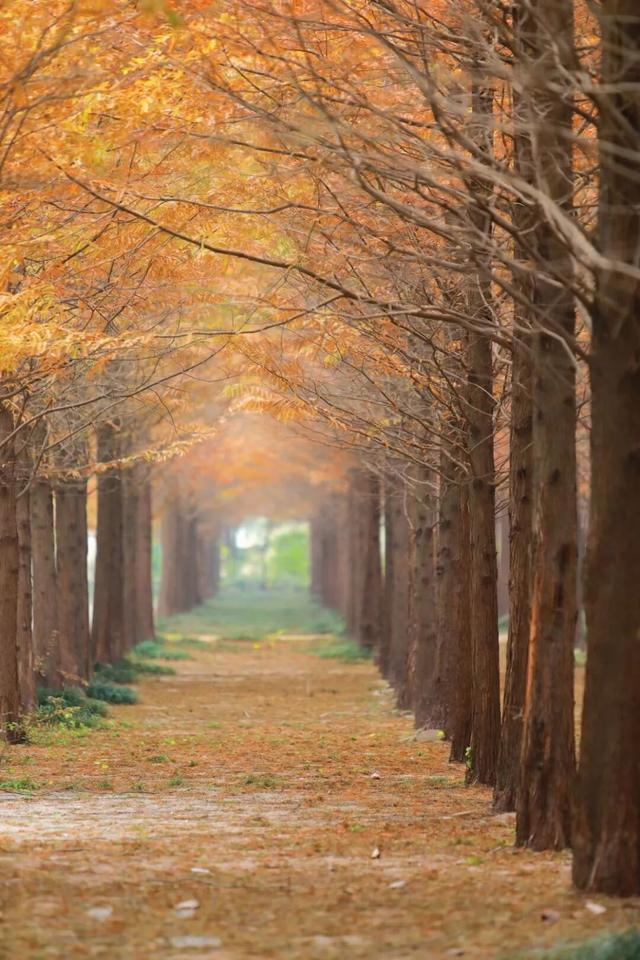 接下来的日照，是这样的！
