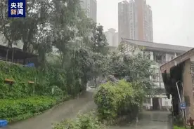 重庆29个雨量站达暴雨，38条中小河流出现1-4米涨水过程图片