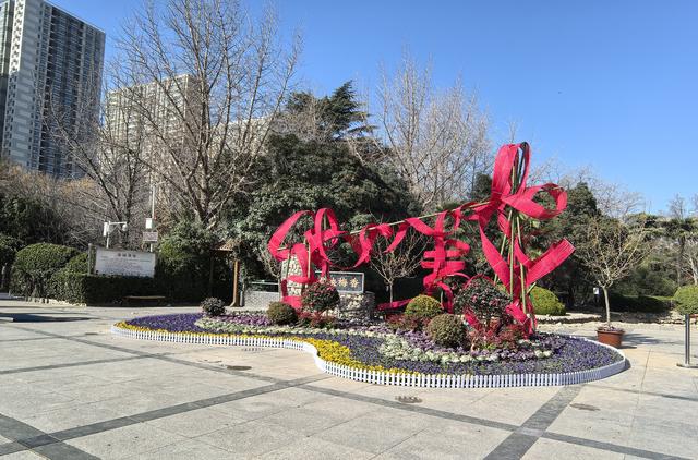 梅绽绿荫春意近，枝横金蕊暗香萦 —郑州绿荫公园蜡梅展启幕