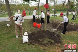 广东茂名 “520·我爱荔”集体婚礼系列活动甜度拉满图片