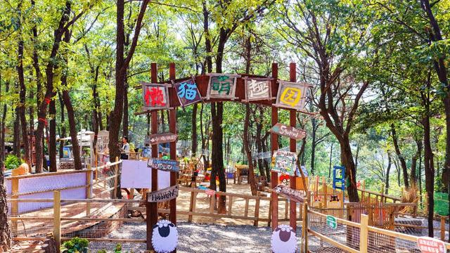 沂蒙山云蒙景区9月最“润”，中国瀑布再现经典“三叠”胜景