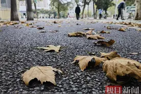 最大风力12级，武汉一夜“入冬”！昨穿短袖，今裹袄子！图片