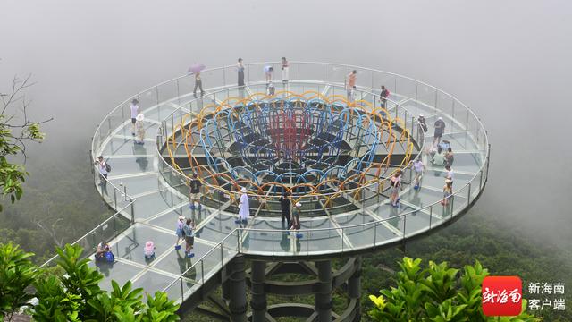 组图｜“海南避暑”成真 游客漫步三亚亚龙湾热带天堂森林旅游区