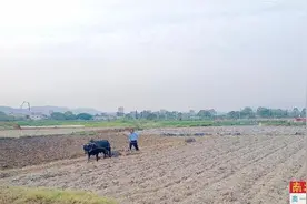 垦造零星荒地 新增2500亩良田图片