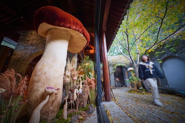 来东城这个胡同小院	，邂逅蘑菇精灵的童话秘境——