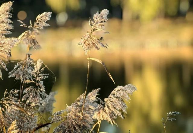 一键Get√氛围感！来这里，将海淀的秋收在镜头中——