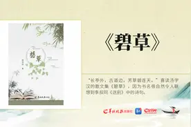 《碧草》——非虚构写作的深圳叙事图片