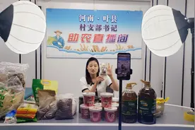 叶县：“电商经济”助推乡村振兴“加速度”图片