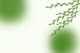 藿香您买对了吗？图片