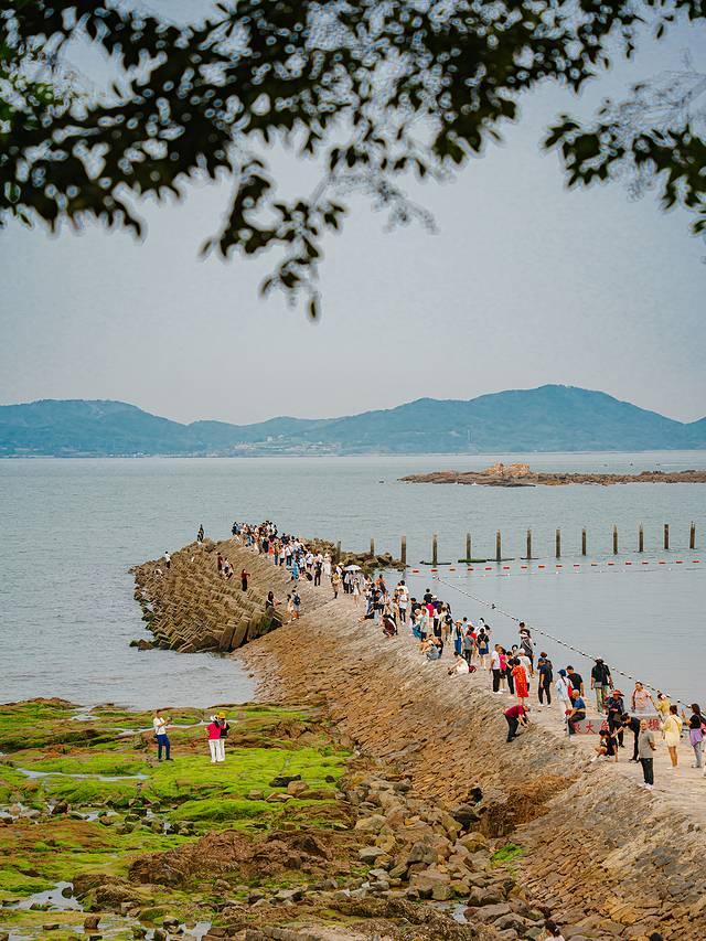 好客山东，奔赴一场山海之约