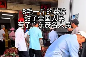 “卖的钱不够请工人”，广东茂名农户因荔枝价低放弃采摘，农业农村局：极个别现象图片